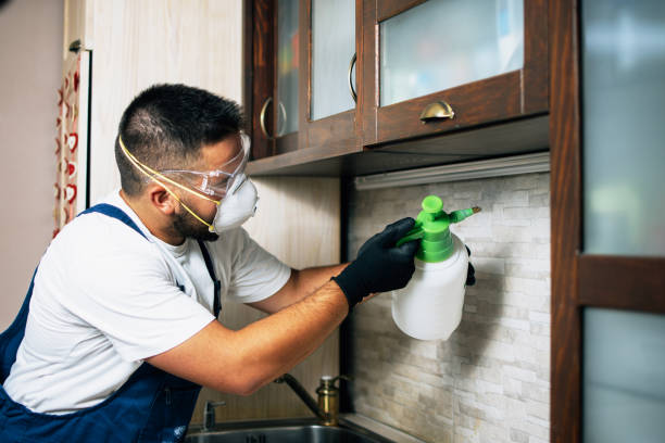 Best Ant Control Services  in Walnut Creek, CA