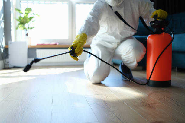 Pest Prevention Services in Walnut Creek, CA