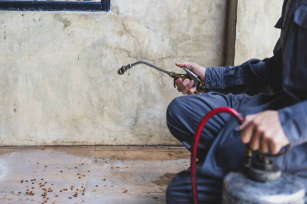 Best Pest Control Near Me  in Walnut Creek, CA
